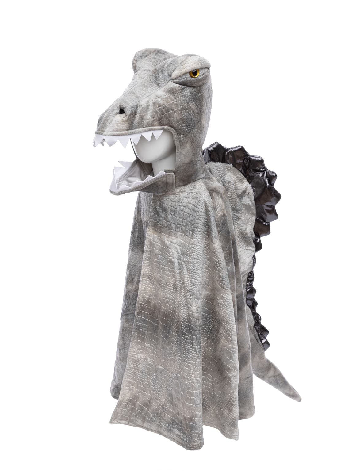Cape Spinosaurus 5-6 jaar