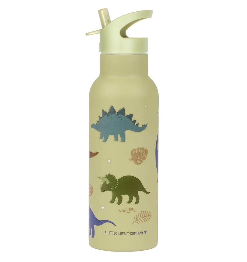 XL RVS Drinkfles Dinosaurussen