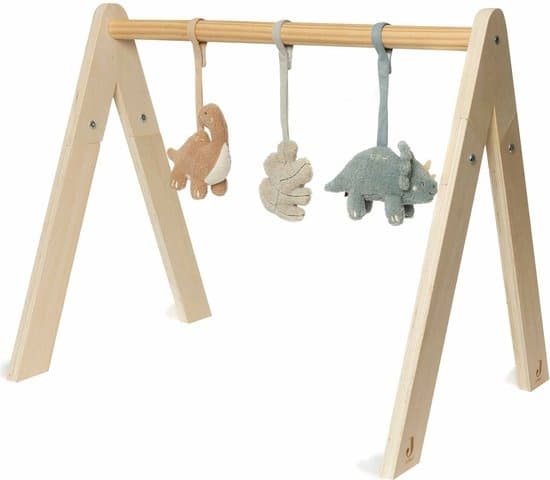 Babygym speeltjes Roarsome