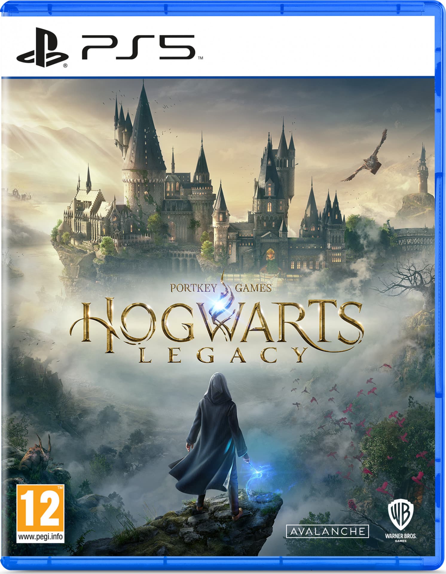 Hogwarts Legacy (PlayStation 5)
